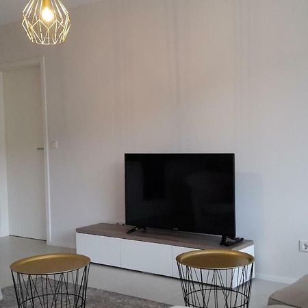 Ferienwohnung 1.0 טרייר מראה חיצוני תמונה